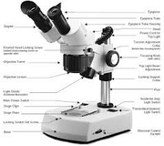 فروش انواع استریو میکروسکوپ