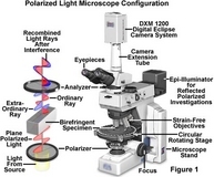 انواع میکروسکوپ نوری آزمایشگاه