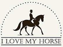 ارائه خدمات تخصصی در صنعت اسب